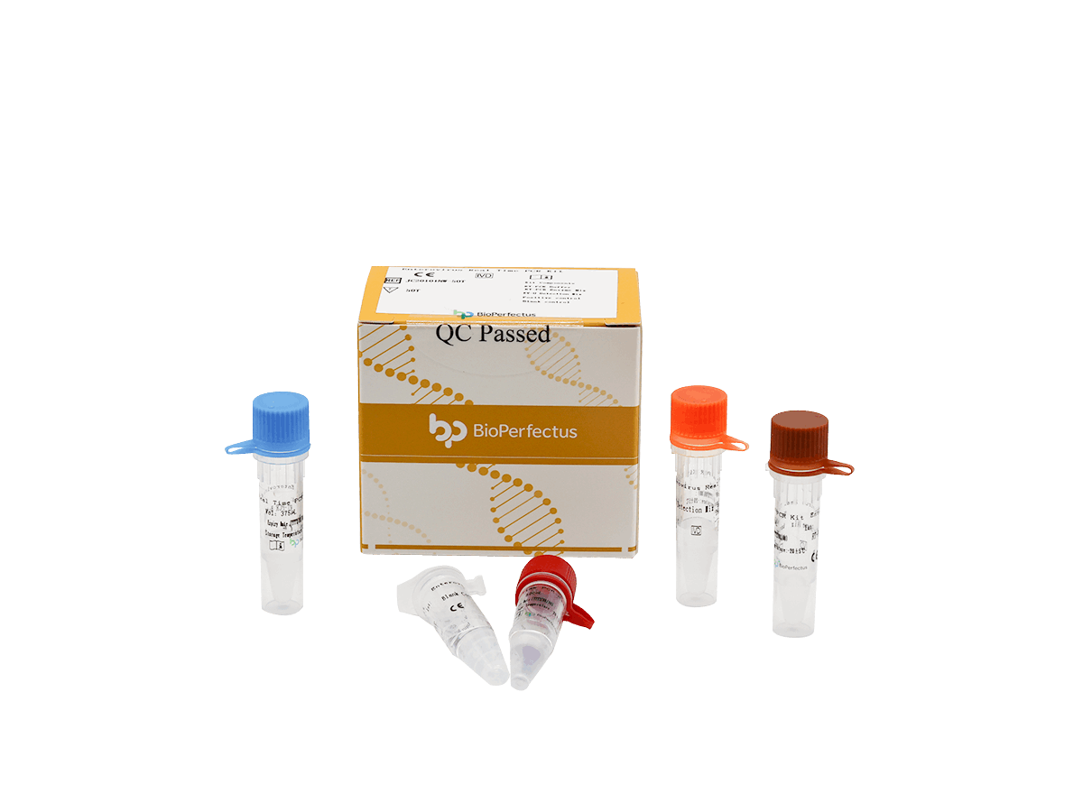BioPerfectus Enterovirus Real Time PCR Kit