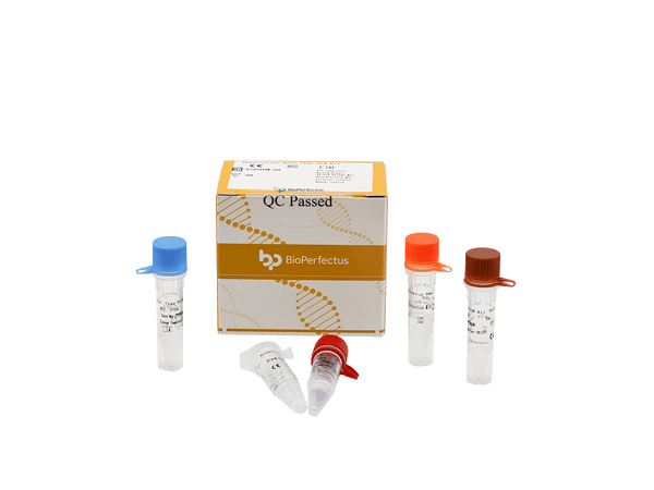 BioPerfectus Enterovirus Real Time PCR Kit