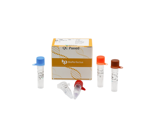 Enterovirus Real Time PCR Kit