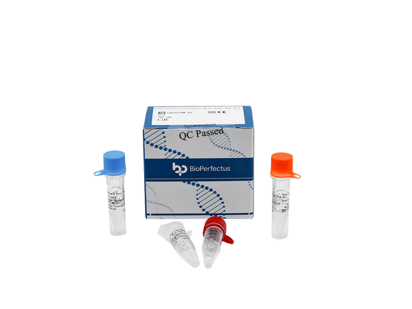 BioPerfectus Francisella Tularensis Real Time PCR Kit