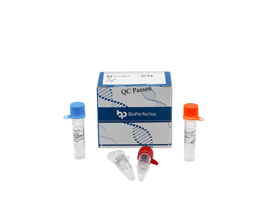 Francisella Tularensis Real Time PCR Kit