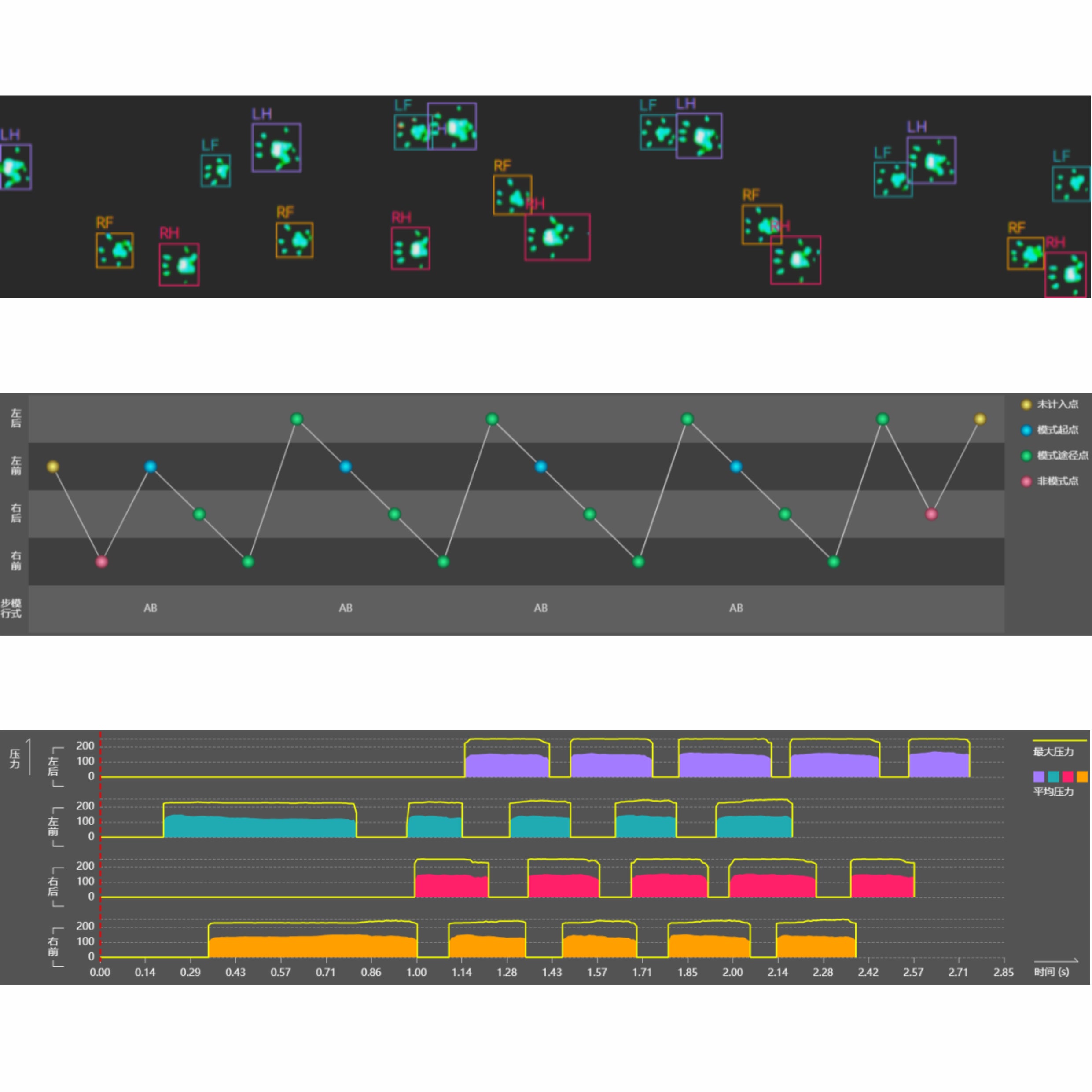Techman Gait Analysis System