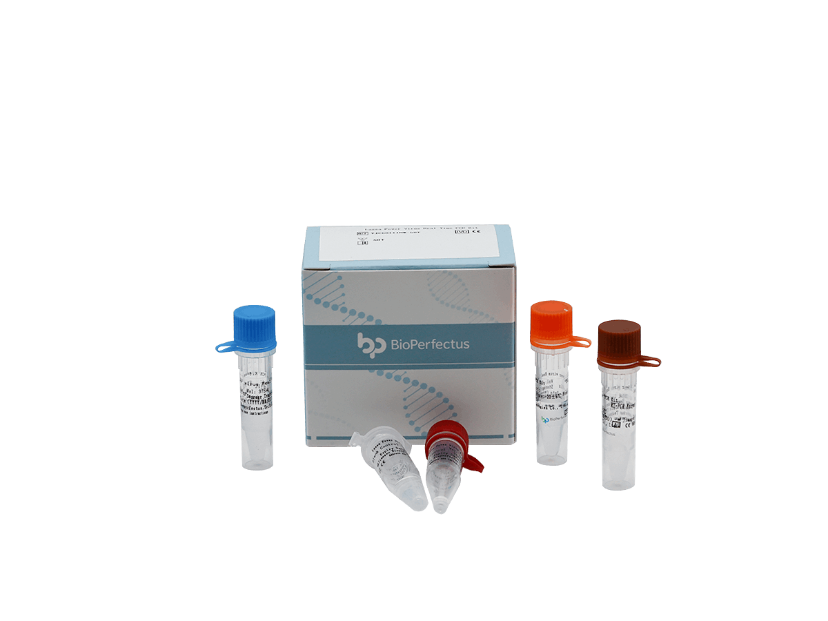BioPerfectus Hantavirus Real Time PCR Kit 50 Tests/Kit