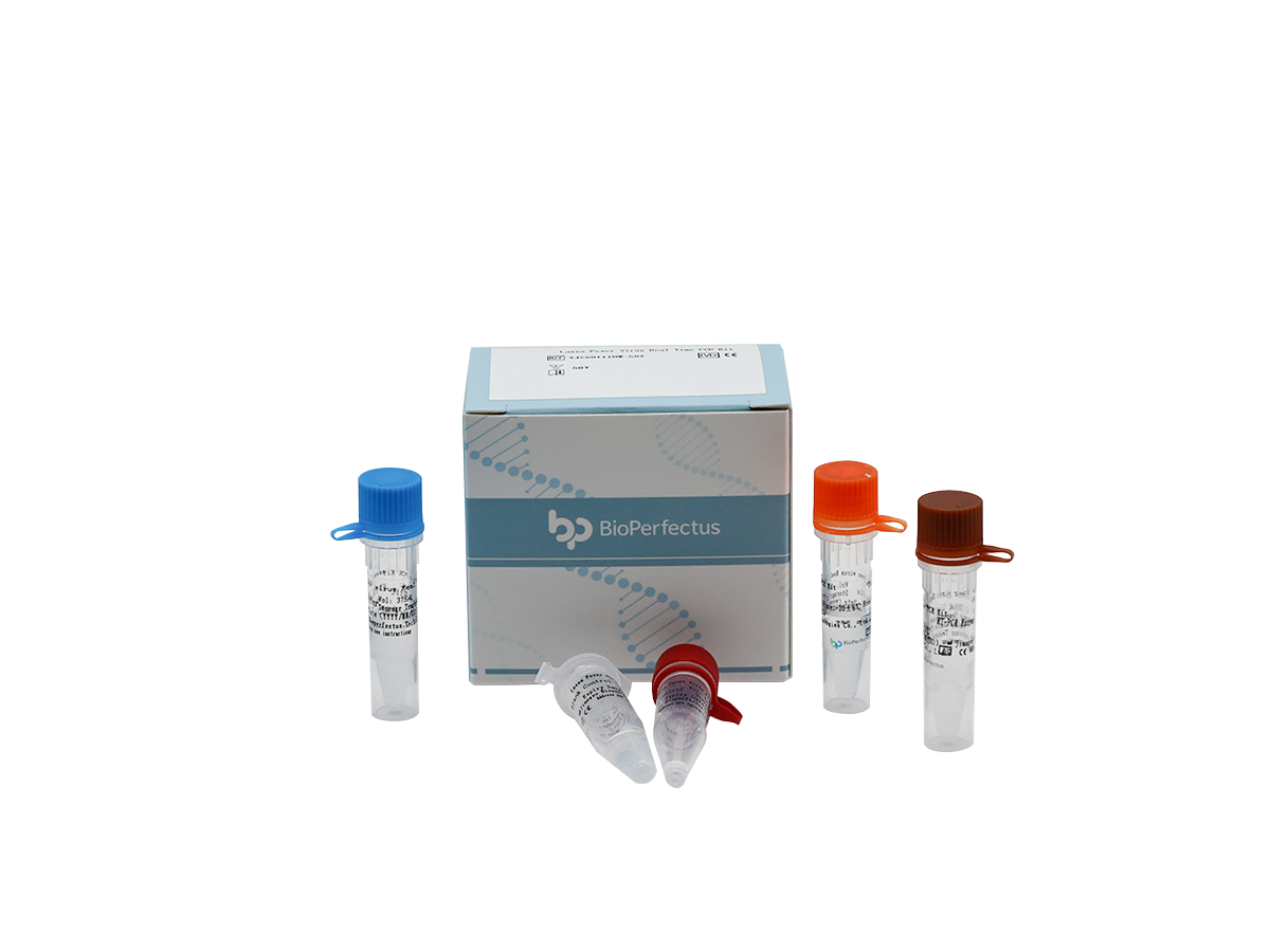 Hantavirus Real Time PCR Kit