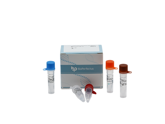 Hantavirus Real Time PCR Kit
