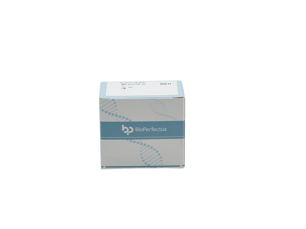 BioPerfectus Hendra Virus Real Time PCR Kit