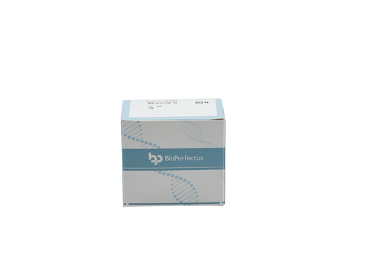 Hendra Virus Real Time PCR Kit