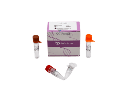 BioPerfectus Herpes Simplex Virus Real Time PCR Kit