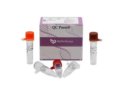 BioPerfectus Herpes Simplex Virus Type I/II Real Time PCR Kit