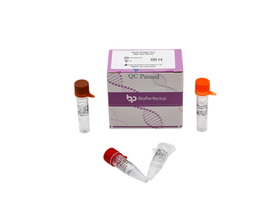 Herpes Simplex Virus Real Time PCR Kit