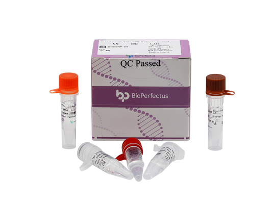Herpes Simplex Virus Type I/II Real Time PCR Kit
