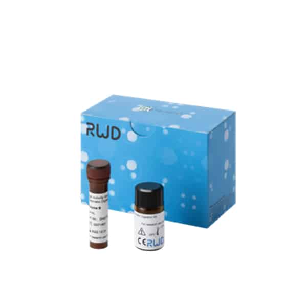 RWD High Activity General Tissue Enzymatic Digestion Kit (Mouse)