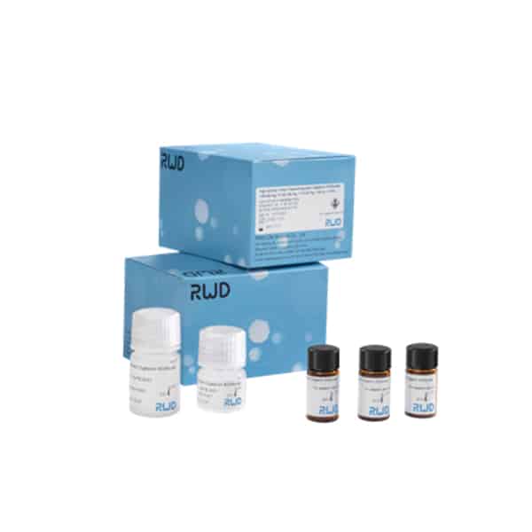 RWD High Activity Tumor Tissue Enzymatic Digestion Kit (Mouse)