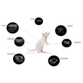 RWD High Frequency Small Animal Ultrasound Imaging System (RevoSilex F30/F60)