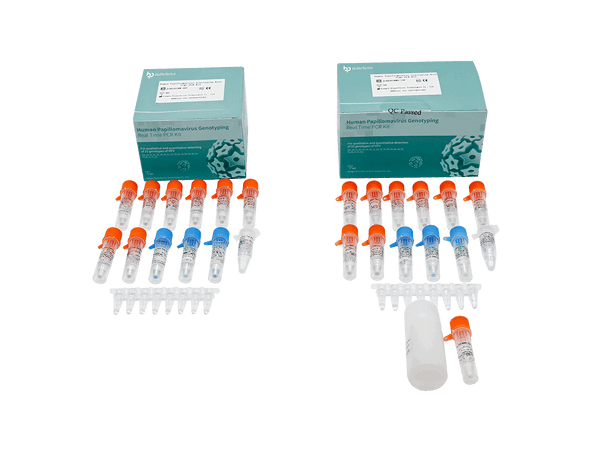 BioPerfectus Human Papillomavirus Genotyping Real Time PCR Kit