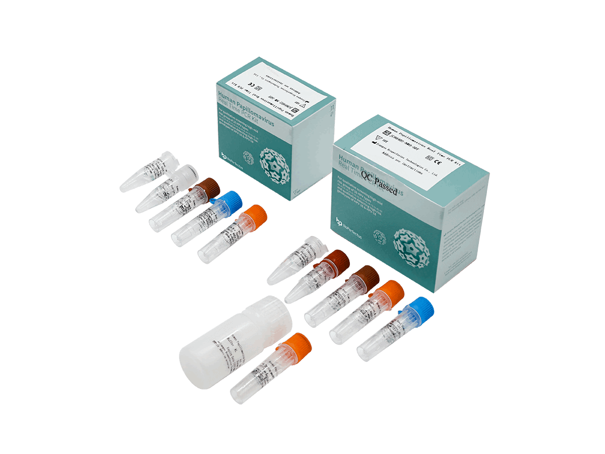BioPerfectus Human Papillomavirus Real Time PCR Kit