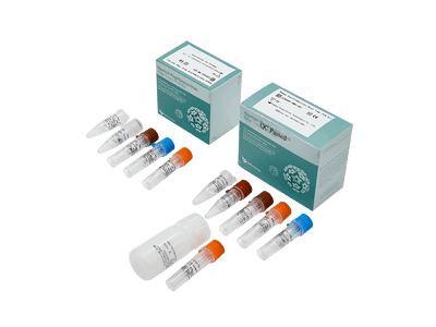 BioPerfectus Human Papillomavirus Real Time PCR Kit