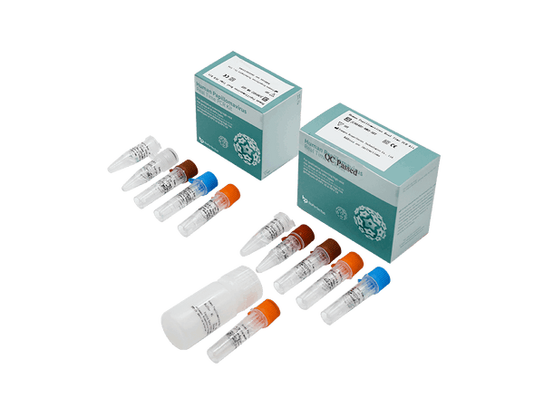 BioPerfectus Human Papillomavirus Real Time PCR Kit
