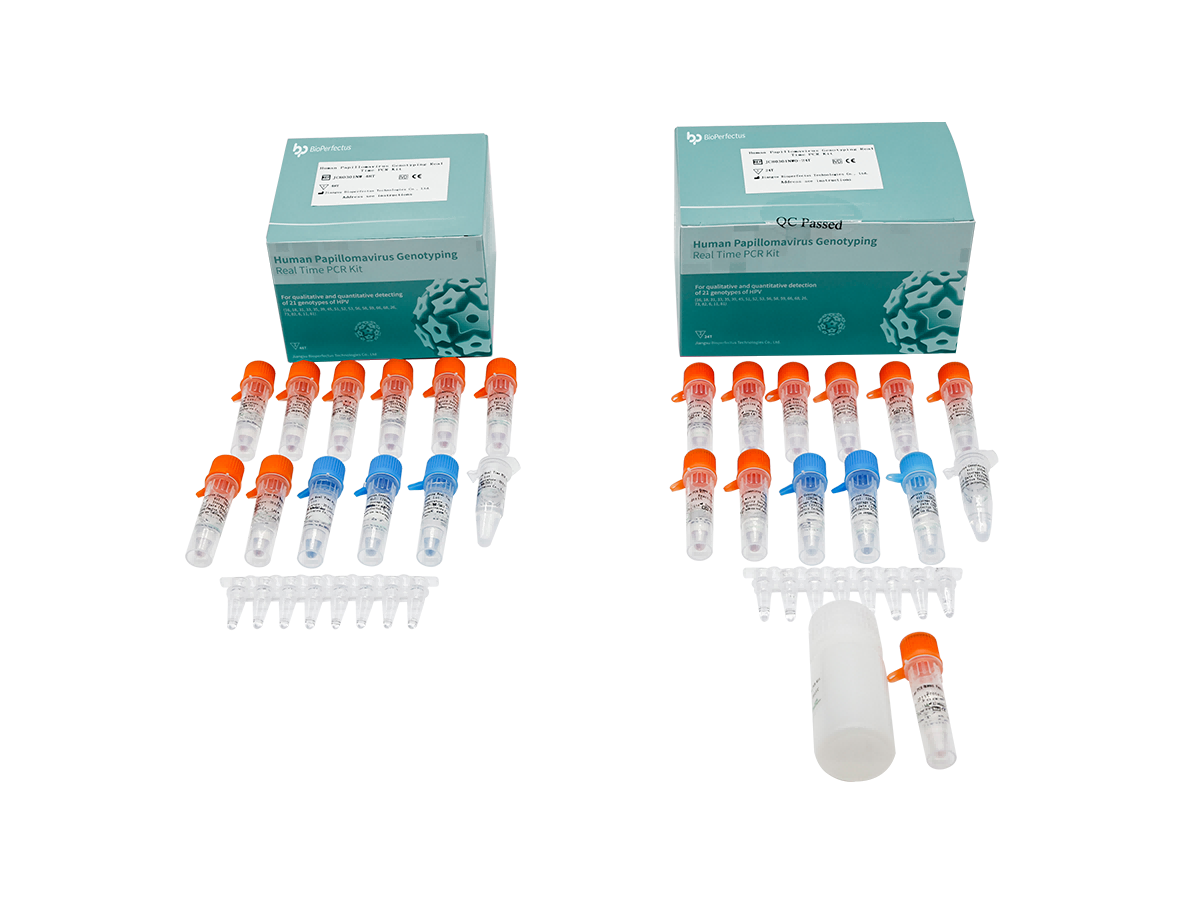 Human Papillomavirus Genotyping Real Time PCR Kit