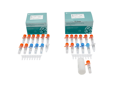 Human Papillomavirus Genotyping Real Time PCR Kit