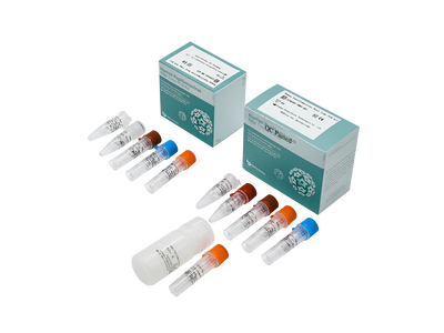 Human Papillomavirus Real Time PCR Kit