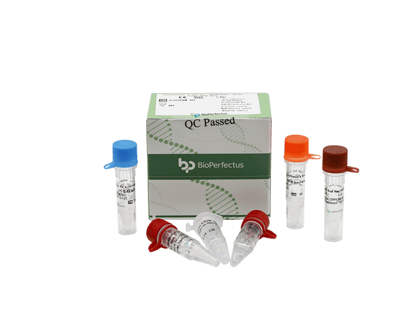 BioPerfectus Influenza A Virus (H1N1 & H3) Real Time PCR Kit
