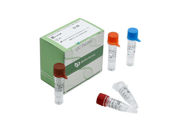 BioPerfectus Influenza A and B Viruses Real Time PCR Kit