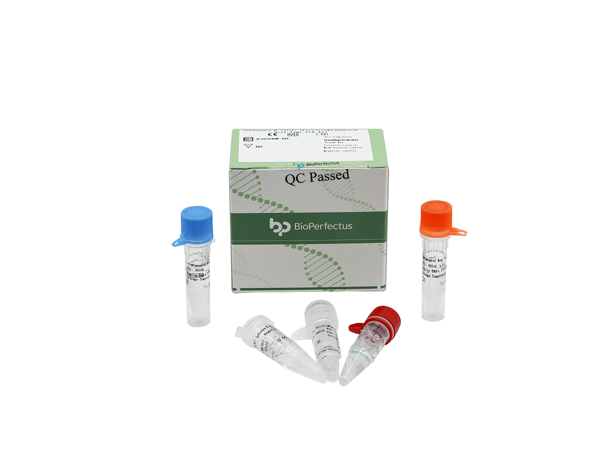 BioPerfectus Influenza B virus (Victoria & Yamagata) Real Time PCR Kit