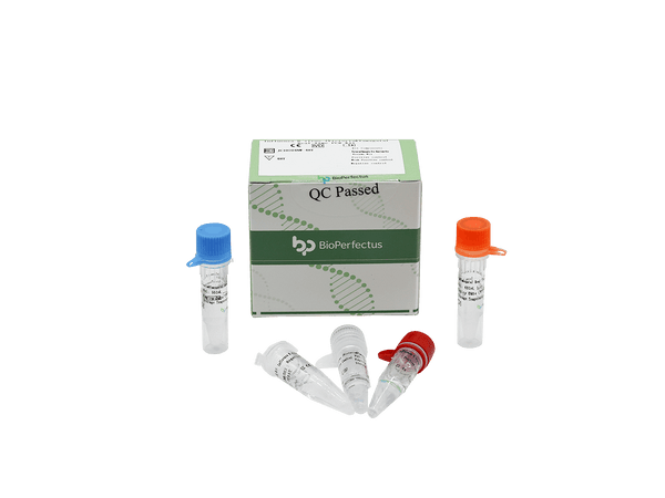 BioPerfectus Influenza B virus (Victoria & Yamagata) Real Time PCR Kit