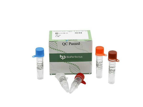 BioPerfectus Influenza Virus Subtype N6 Real Time PCR Kit