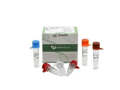 Influenza A Virus (H1N1 & H3) Real Time PCR Kit