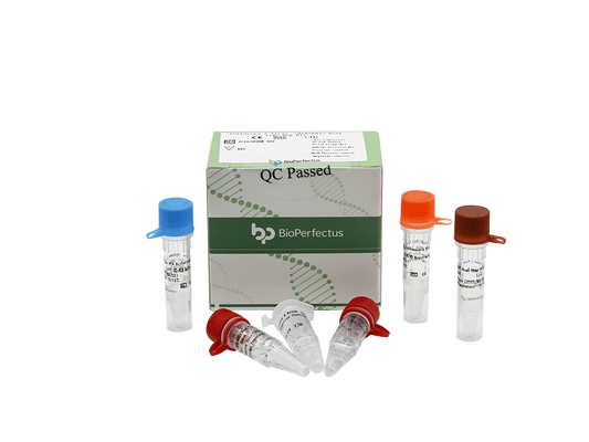 Influenza A Virus (H1N1 & H3) Real Time PCR Kit