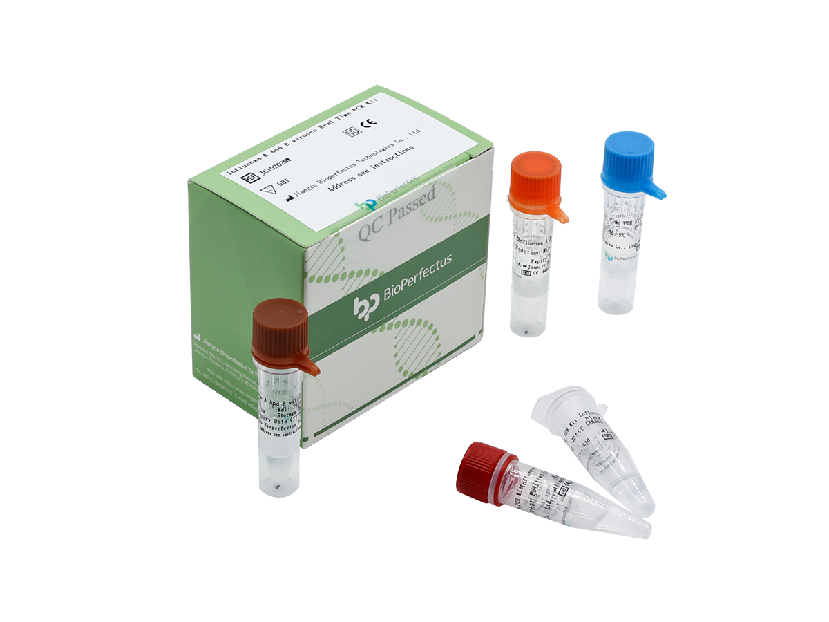 Influenza A and B viruses Real Time PCR Kit