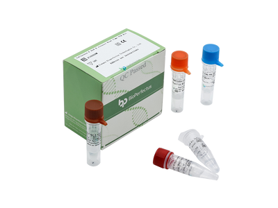 Influenza A and B viruses Real Time PCR Kit