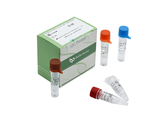 Influenza A and B viruses Real Time PCR Kit