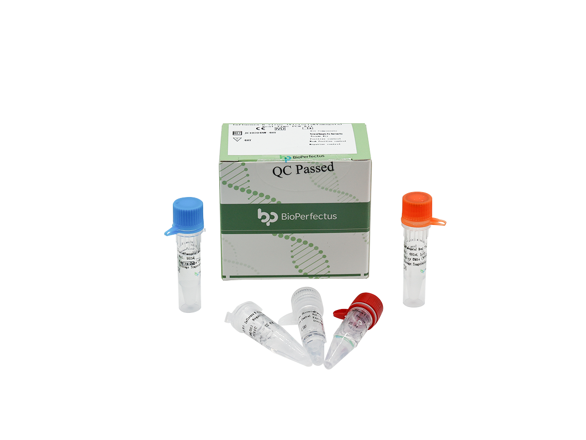 Influenza B virus (Victoria & Yamagata) Real Time PCR Kit