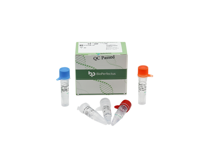 Influenza B virus (Victoria & Yamagata) Real Time PCR Kit