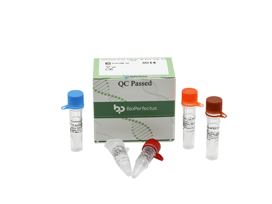 Influenza Virus Subtype N6 Real Time PCR Kit
