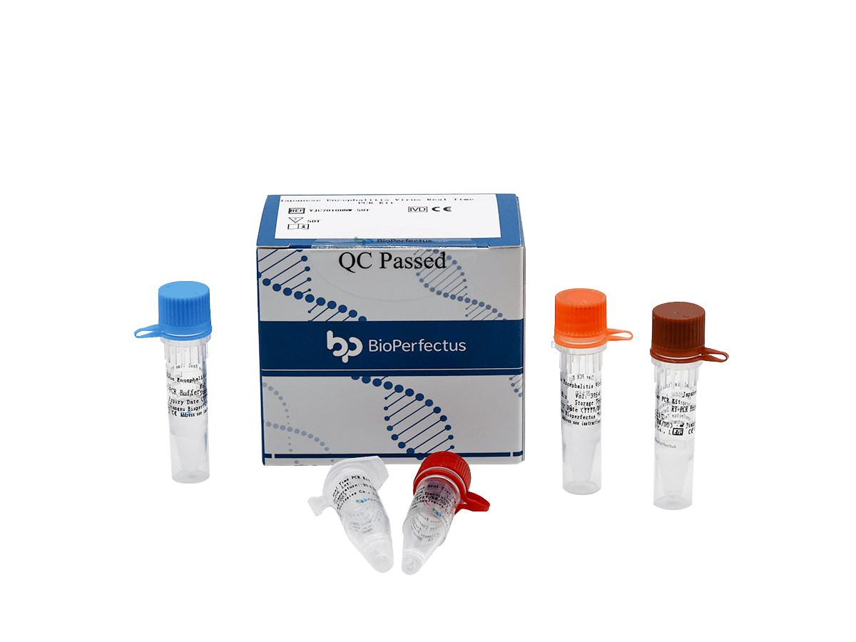 BioPerfectus Japanese Encephalitis Virus Real Time PCR Kit