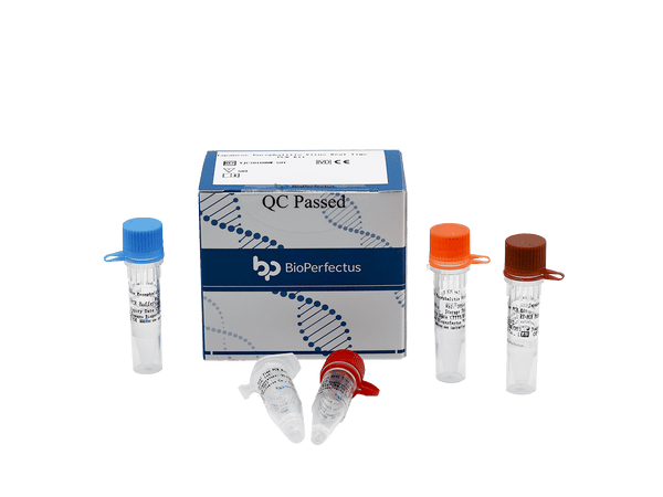 BioPerfectus Japanese Encephalitis Virus Real Time PCR Kit