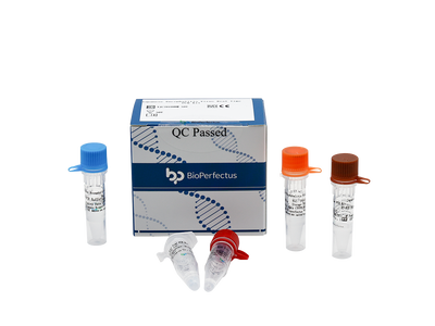 Japanese Encephalitis Virus Real Time PCR Kit
