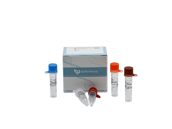 BioPerfectus Lassa Fever Virus Real Time PCR Kit