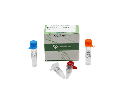 Legionella Real Time PCR Kit