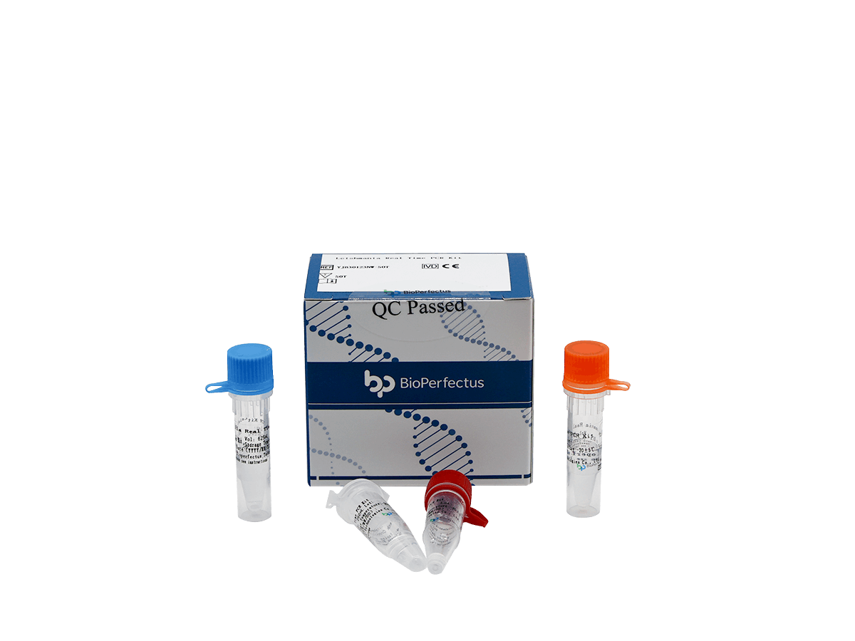 BioPerfectus Leishmania Real Time PCR Kit
