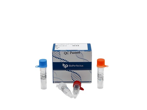 BioPerfectus Leishmania Real Time PCR Kit