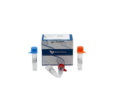 Leishmania Real Time PCR Kit