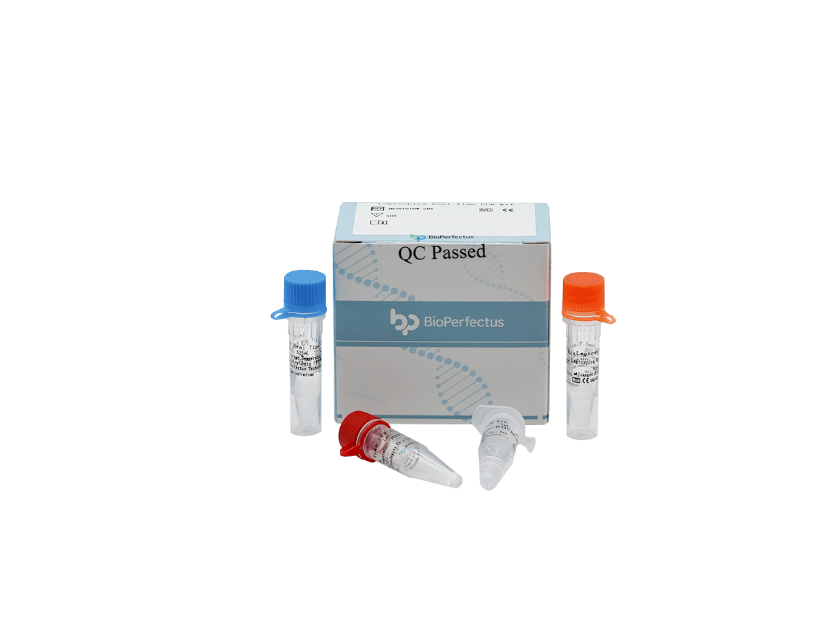 BioPerfectus Leptospira Real Time PCR Kit