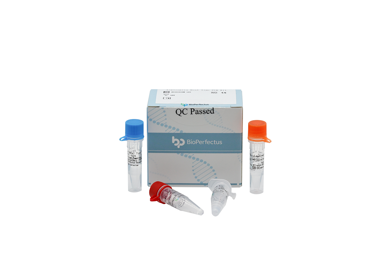 Leptospira Real Time PCR Kit
