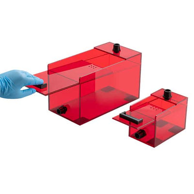 Low Stress Anesthesia Induction Chamber