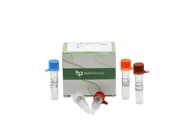 BioPerfectus MERS-CoV Real Time PCR Kit